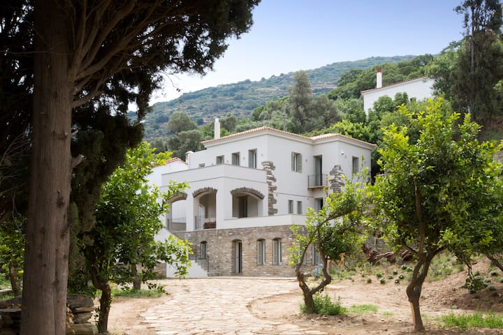 Villa Perivoli Andros