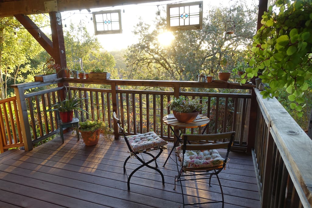 Enjoy peaceful sunrise with the birds...