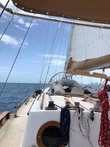 Vintage Sailboat Experience South Florida. gallery image 5