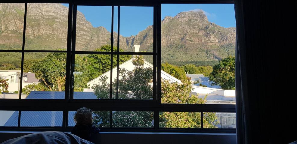 Stylish Newlands village home gallery image 2