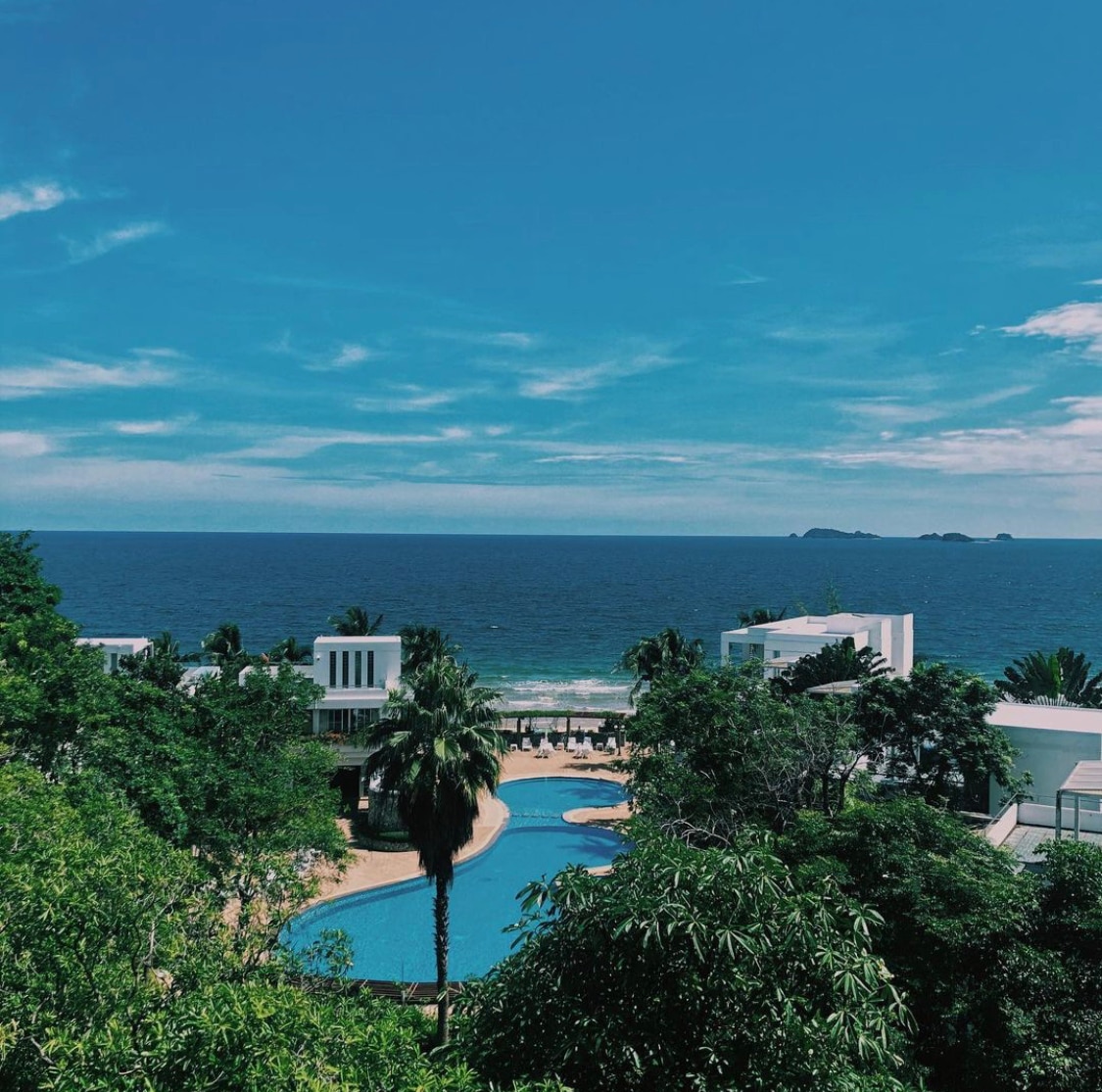 A view of a landscaped area featuring a large swimming pool surrounded by palm trees, overlooking the ocean. The calm blue water of the pool contrasts with the vibrant greenery, while the horizon is met by a clear sky and distant islands in the background.