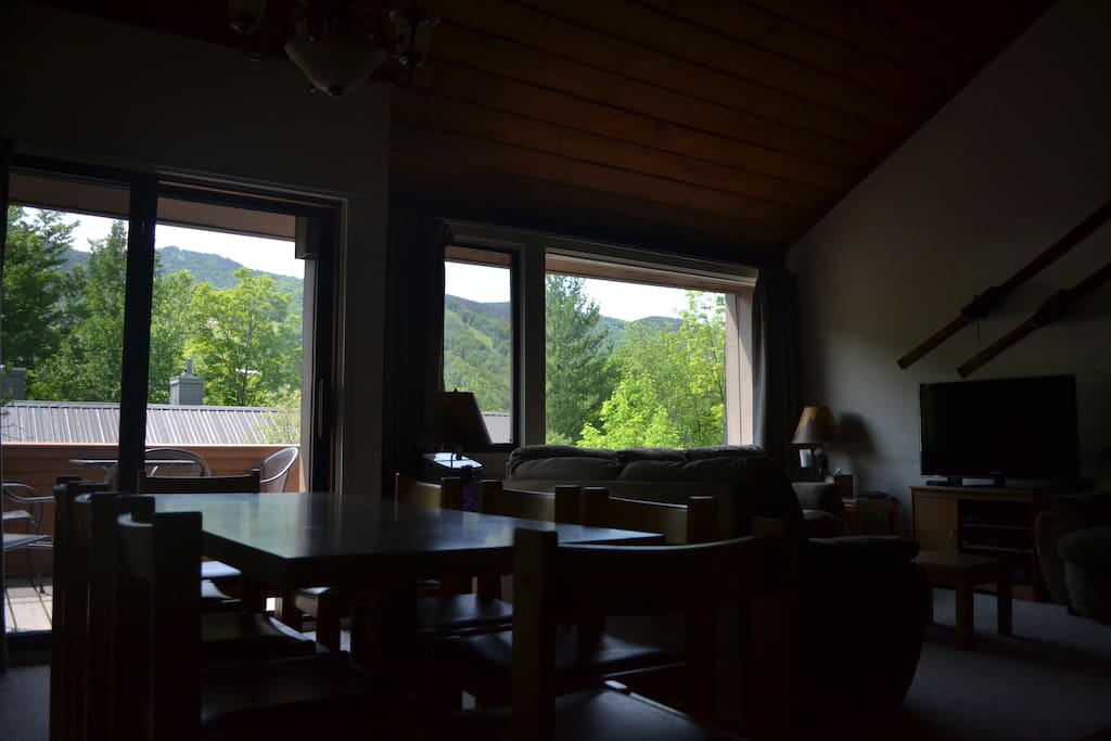 View From Main Level