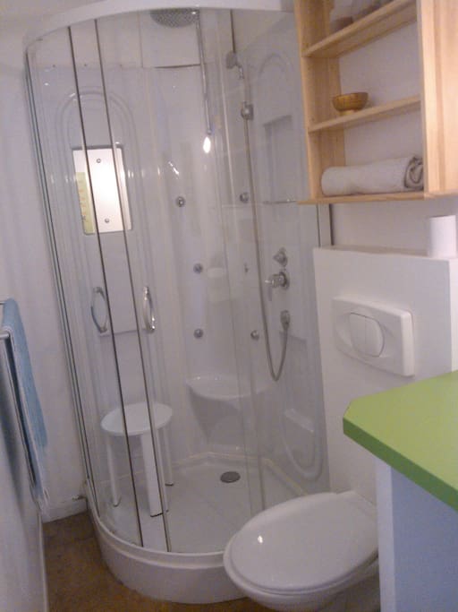 Salle d'eau, lavabo, wc, douche avec hydromassage