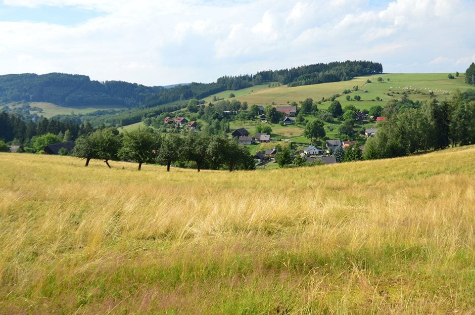 A sweeping view of a lush green landscape is displayed, featuring rolling hills and scattered houses in a tranquil village. Several trees are visible in the foreground, and the sky is partly cloudy, enhancing the serene atmosphere of the countryside.