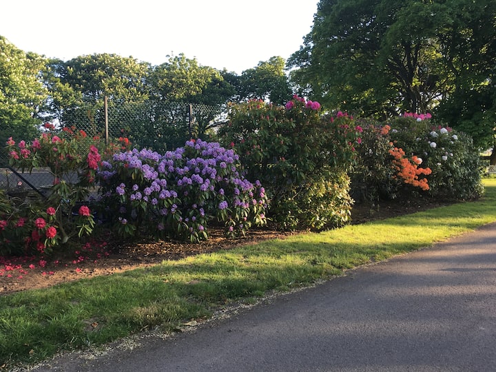 Panbride House Courtyard Apartment Bungalows for Rent in Carnoustie