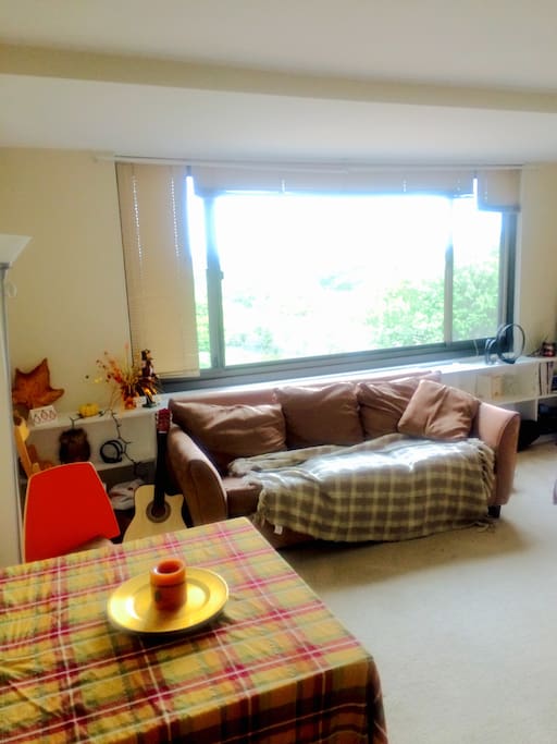 Views of DC. This couch pulls out to sleep extra 2 guests.