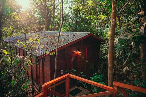 SECRET RACCOON CABIN