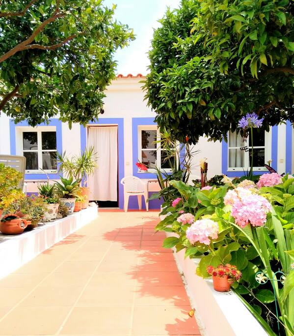Rooms surrounded by our beautiful garden