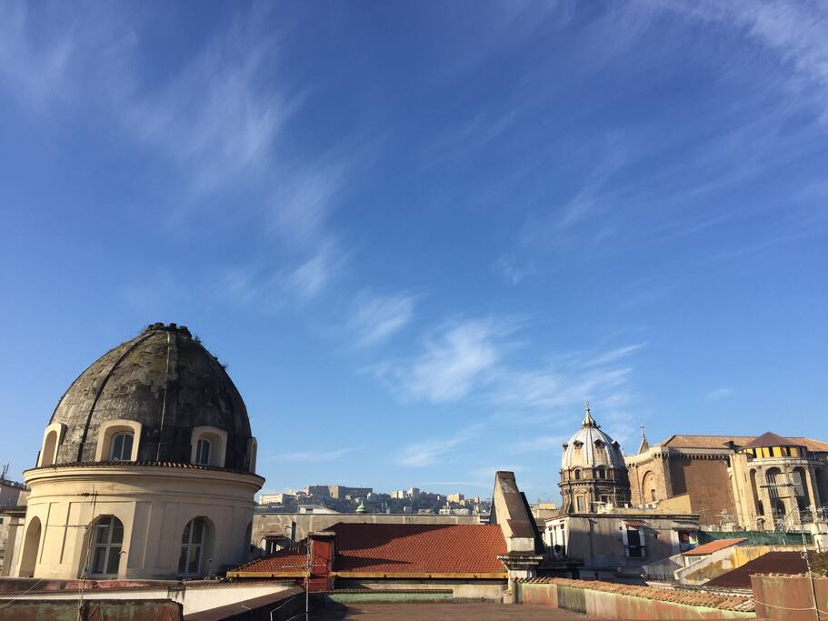 the view