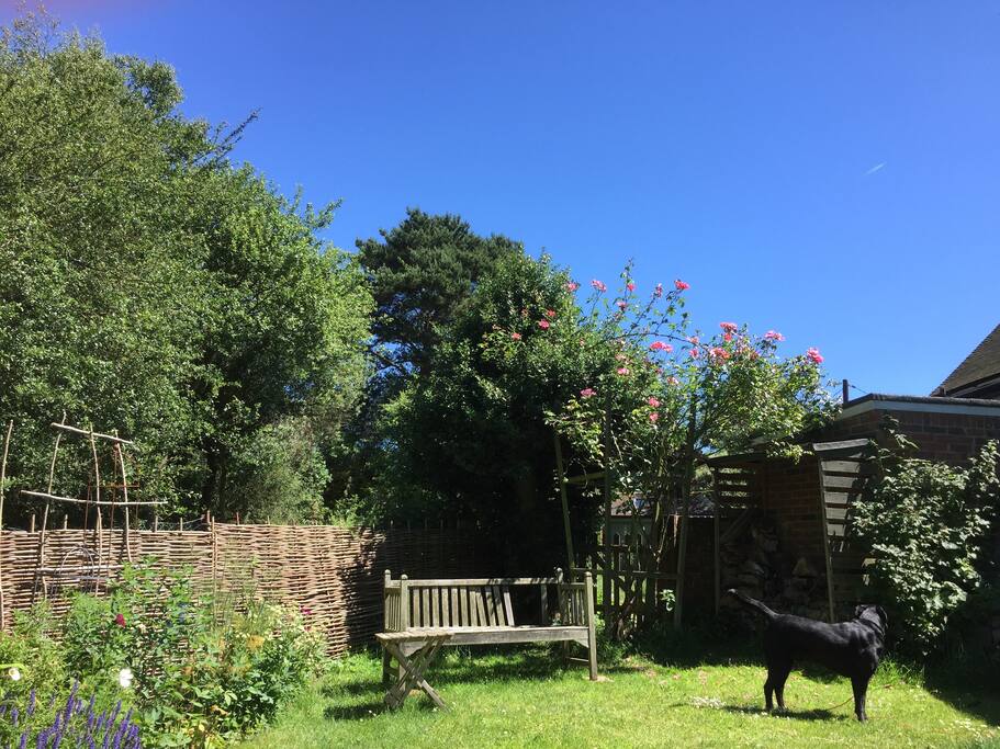 Private garden