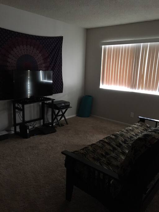 Living room space with full size futon.