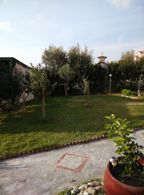 Τμήμα αυλής
Part of backyard