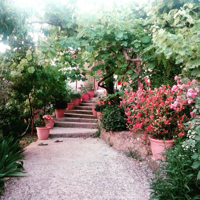 House entrance in May
