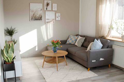 Apartment invites you to explore the North Sea