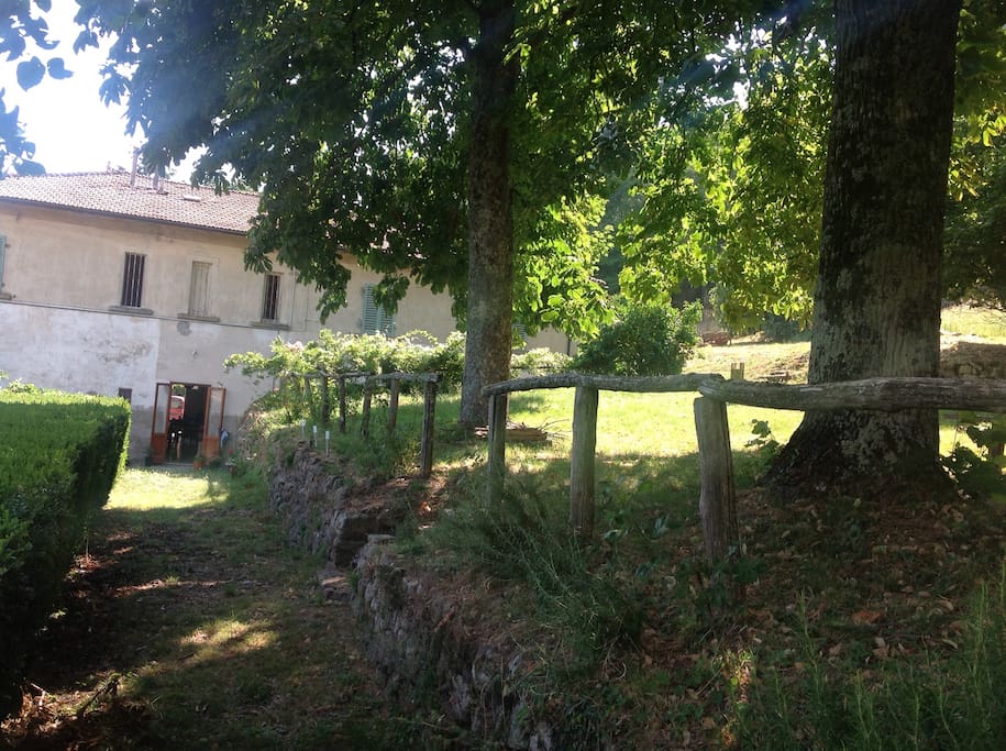 Il parco sul retro della casa