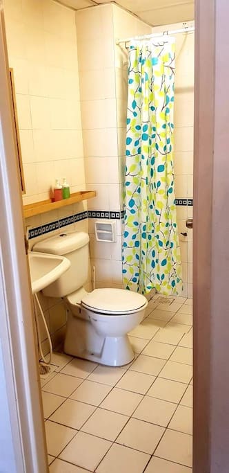 Clean bathroom with separated shower head.