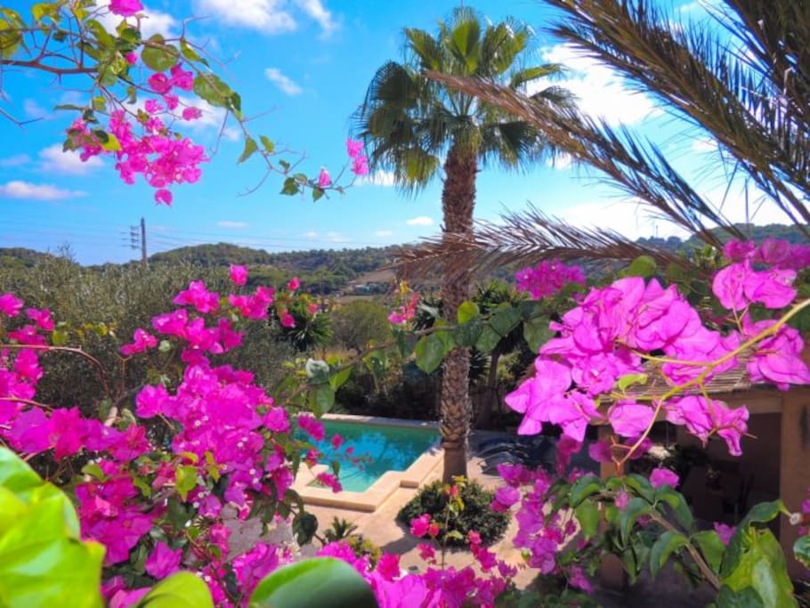 Stunning view to the pool and the hill side