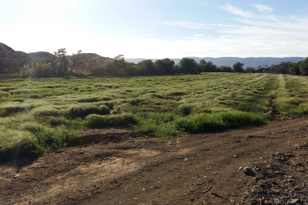 Acres