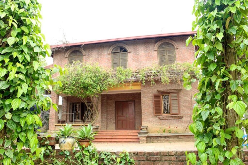 Palm Villa