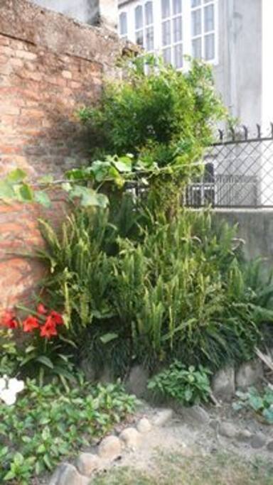 Garden B