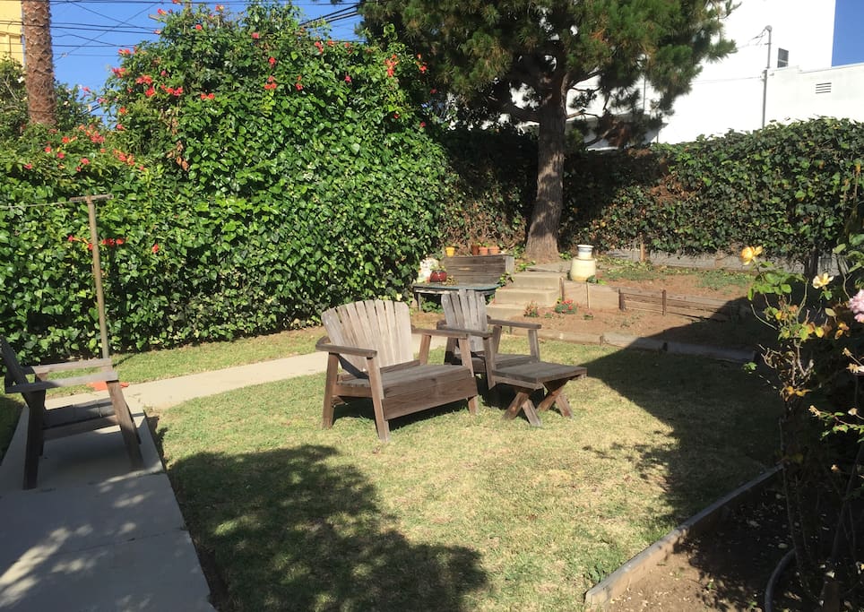 The shared backyard.