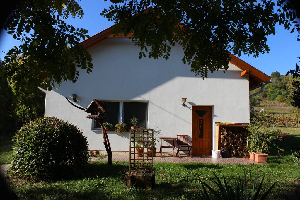 Der Eingang mit Terrasse
