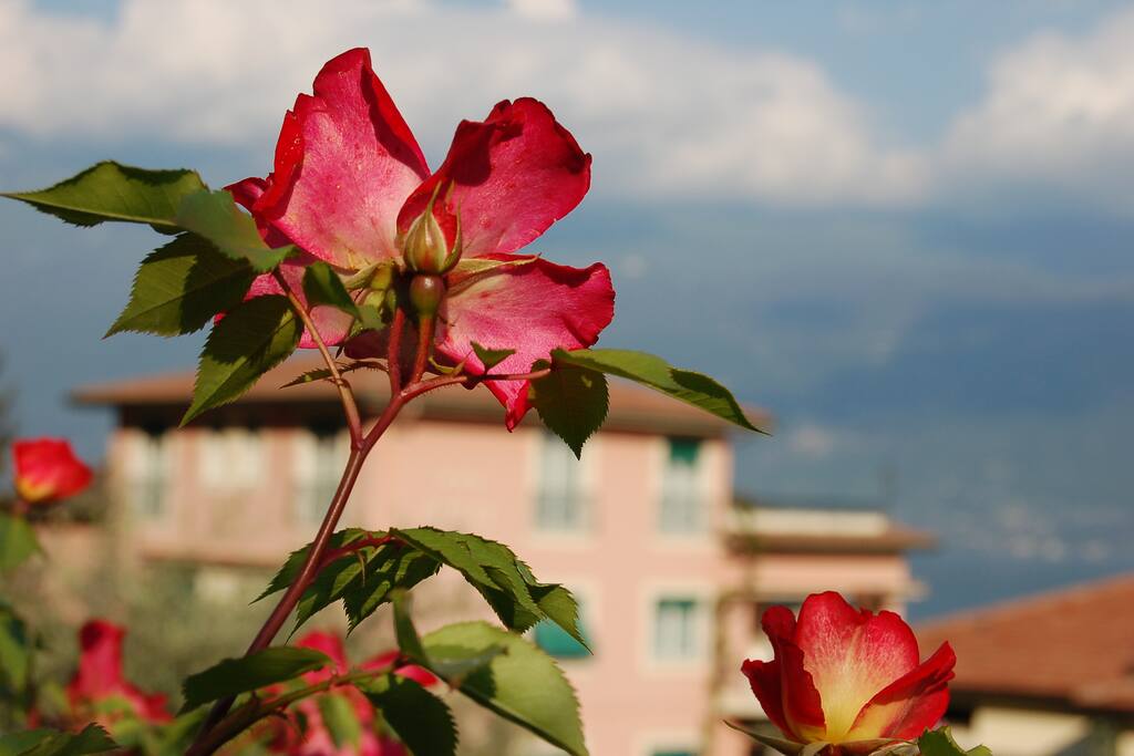 Veduta Hotel