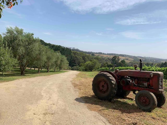 Butterfly Red Hill: Farm House