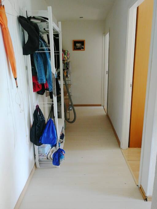 Hall from the enter