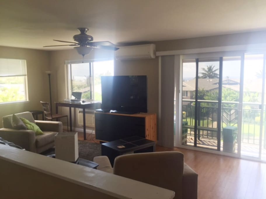 50 inch TV and Wifi