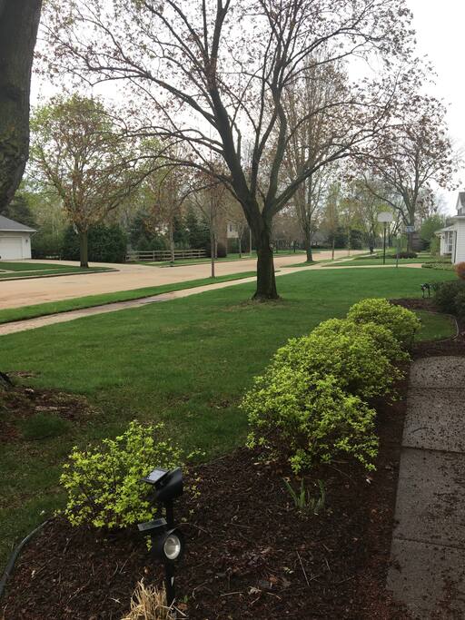 Quiet street