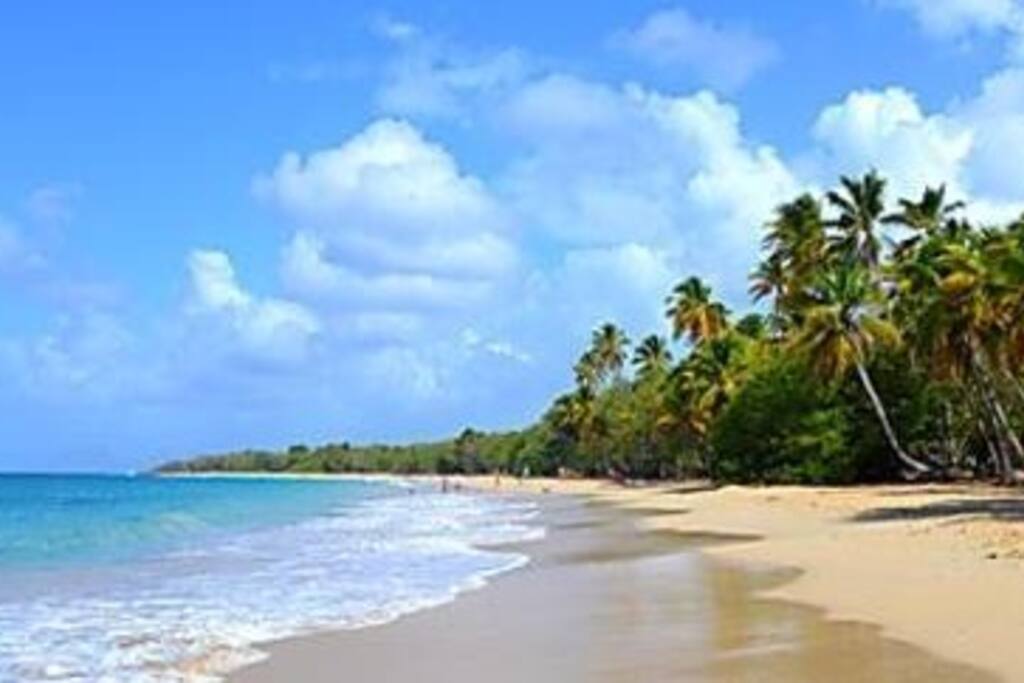 Grandes ballades sur les plages désertes