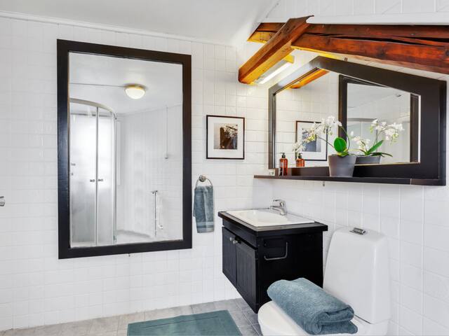 Unique and spacious loft penthouse gallery image 4