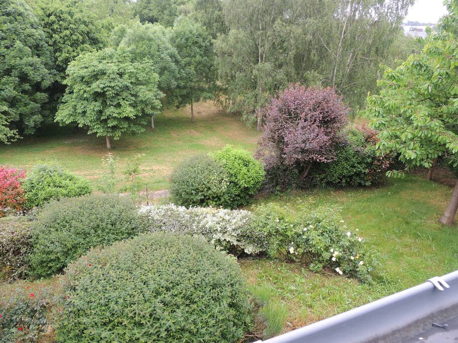 La vue sur le vallon de votre chambre