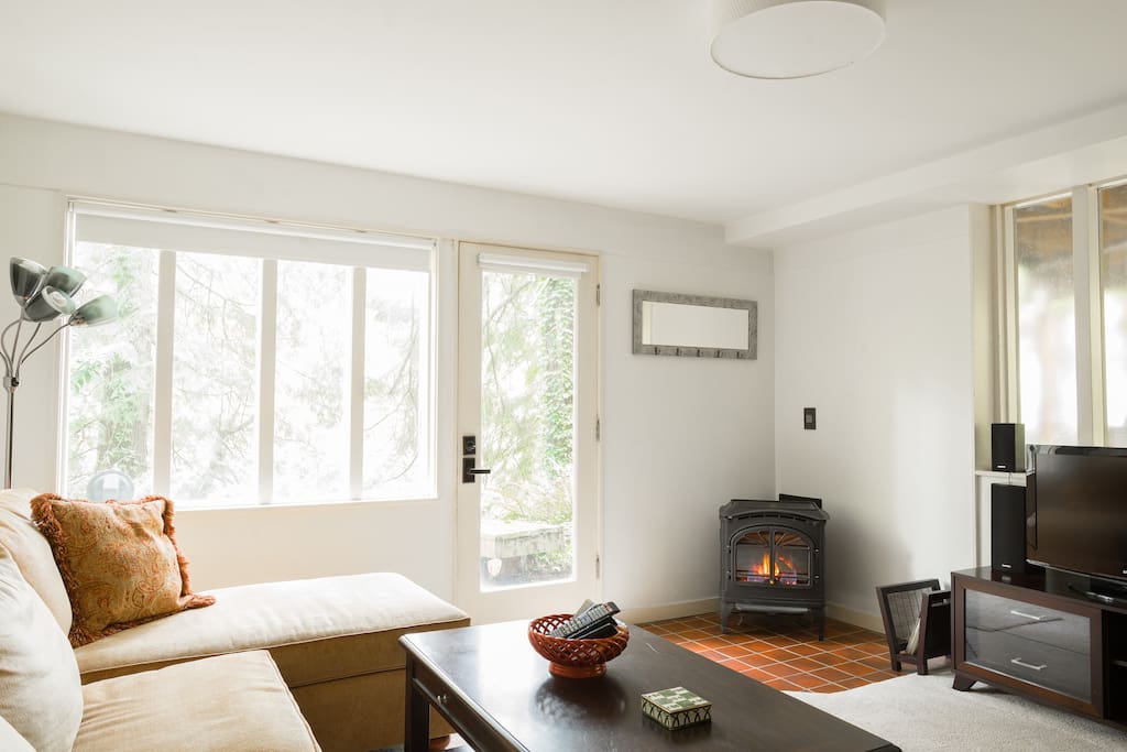 Gas Fireplace