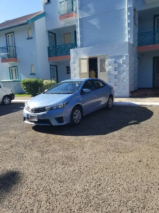 Scooter & Car Rental Services Available