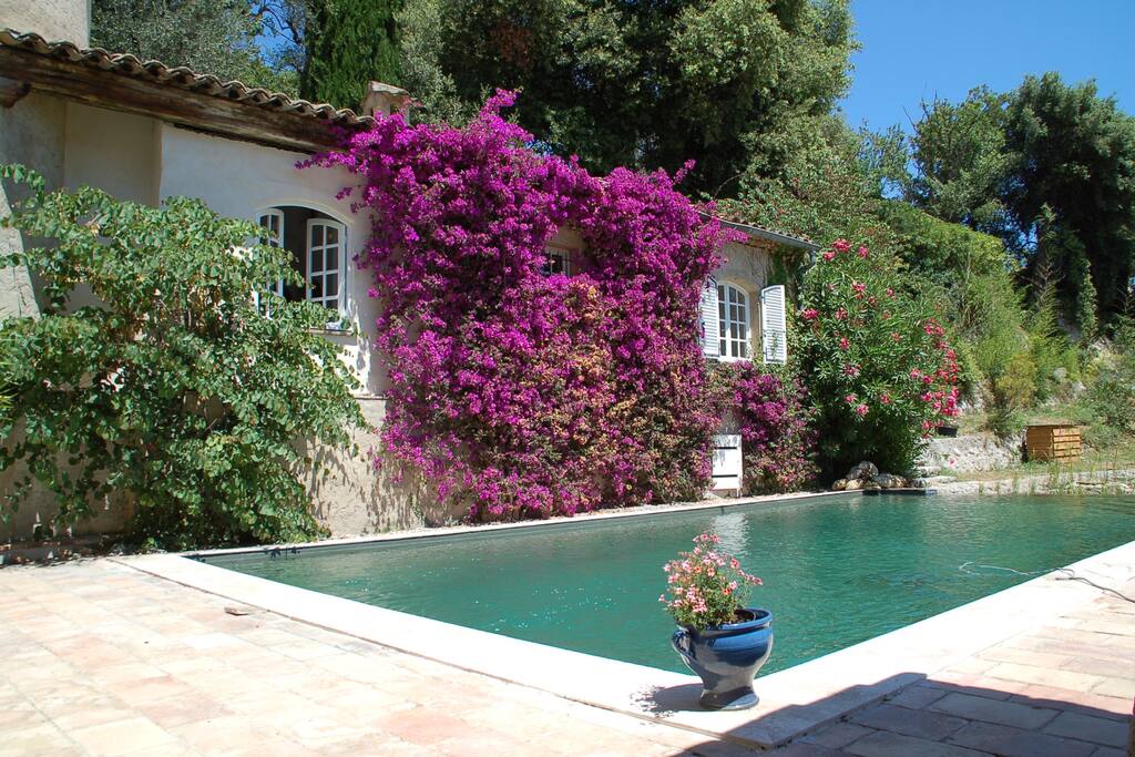 La Piscine