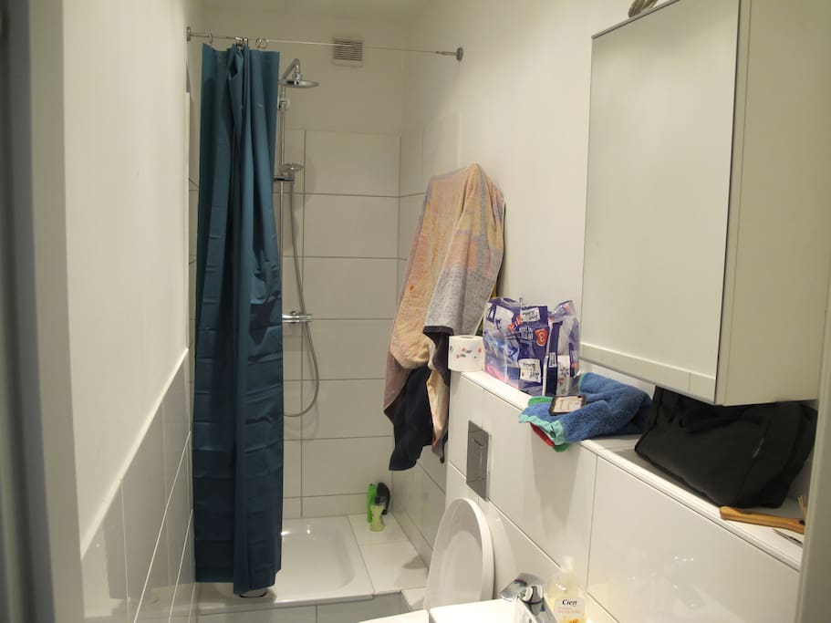 bathroom view 2