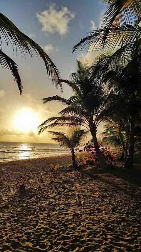 Family and Relax Apt steps to Beach near El Yunque