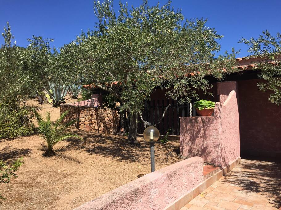 A view of the house from the entrance gate