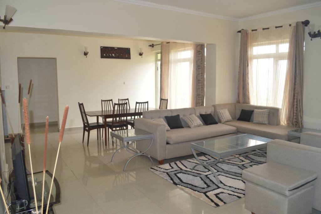 Another view of the furnishing in the living room