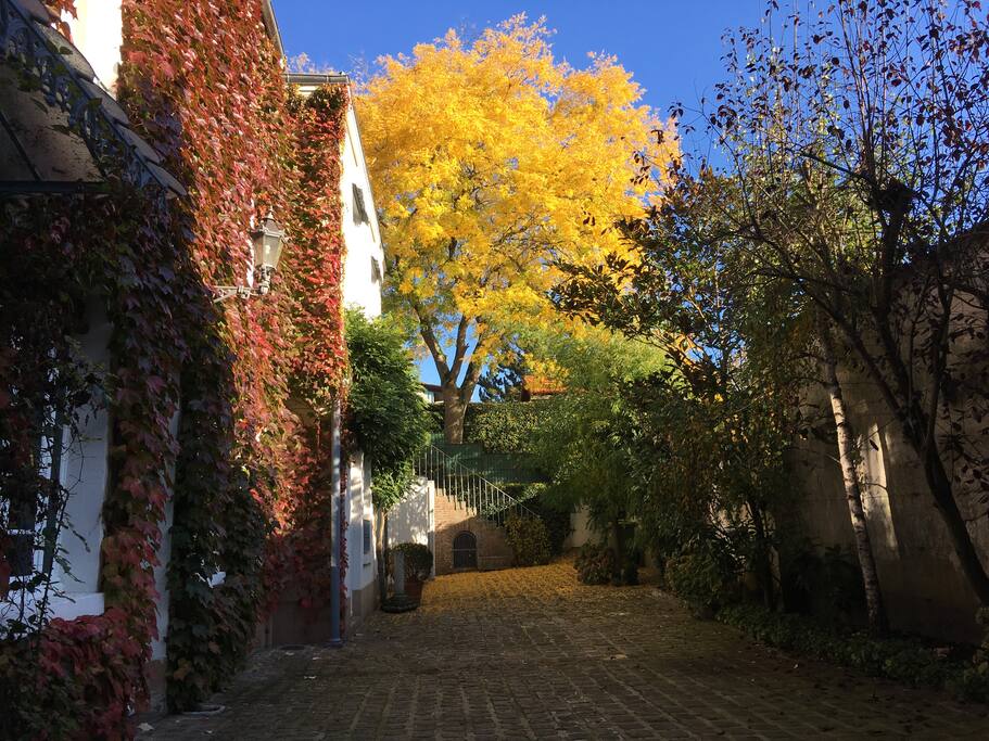 Un havre de paix en plein centre ville