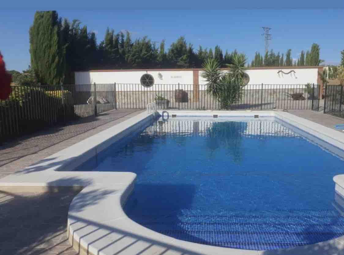 A clear blue swimming pool is surrounded by a well-maintained stone patio and a decorative fence. Green plants and trees are visible in the background, adding a sense of privacy. Sunlight reflects off the water, creating a peaceful and inviting setting.