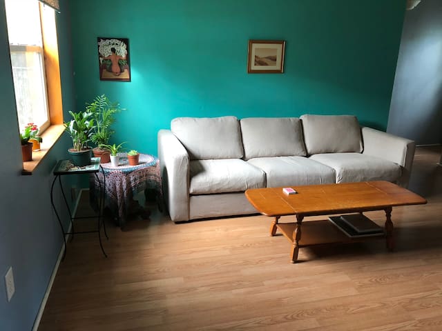 Private Room with Queen Size Bed in NE Portland