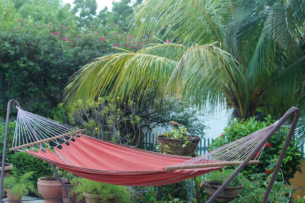 Hammock