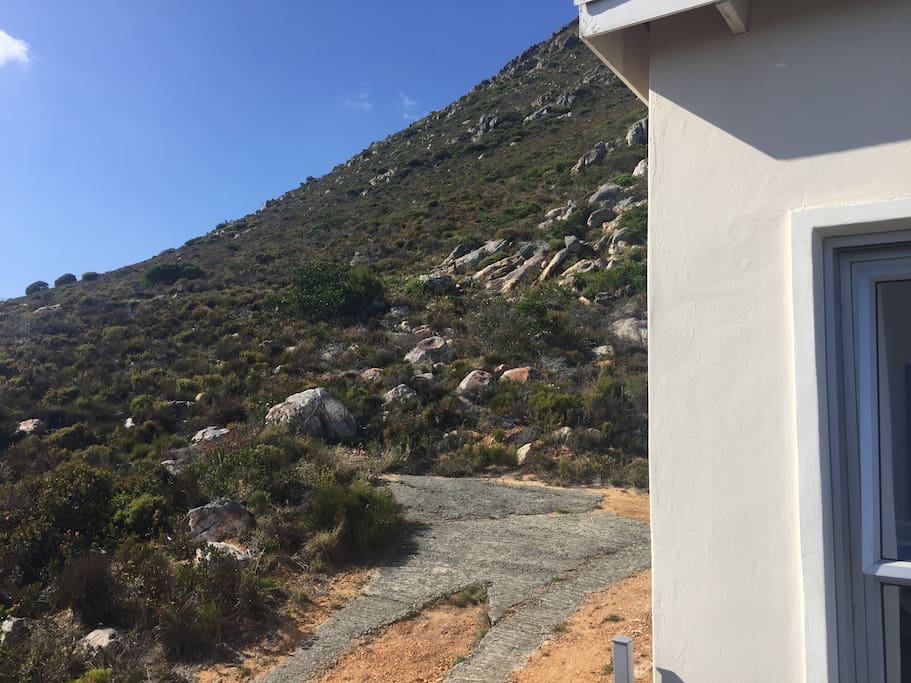 Mountain behind