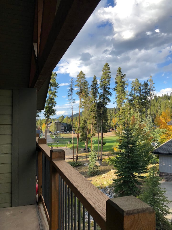 Quick To Slopes & Walk To Main St - Breckenridge