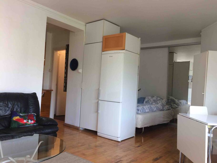 Romslig studioleilighet