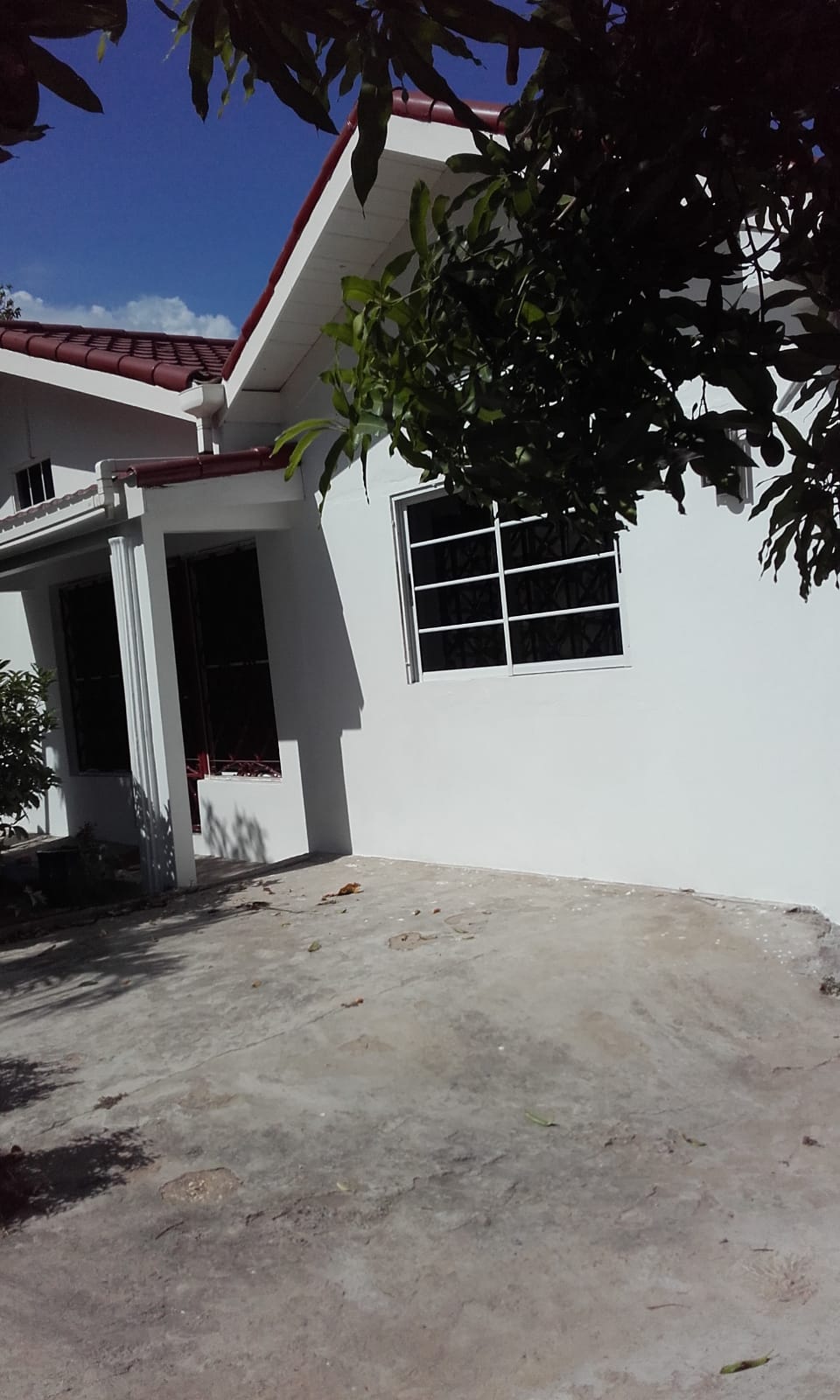 A white exterior wall is visible, featuring a large window with a grid design. The area is surrounded by greenery, and the ground is made of concrete, showing signs of wear. Sunlight casts gentle shadows on the surface.