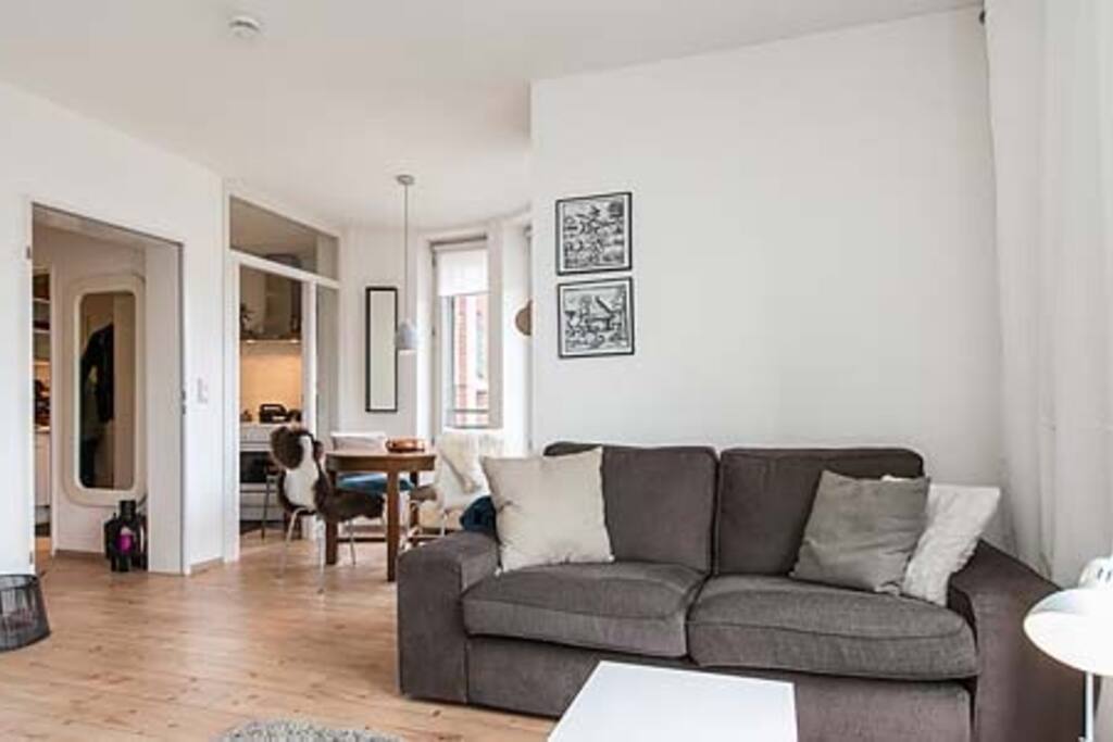 Wohnzimmer mit Couch und Einzelbett